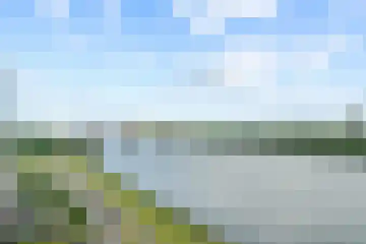 Hongerlandsedijk 754 Spijkenisse thumbnail 34