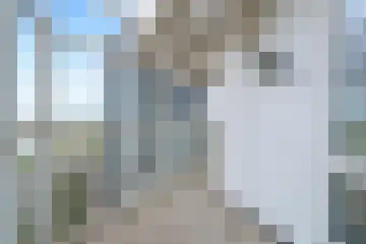 Hongerlandsedijk 754 Spijkenisse thumbnail 35