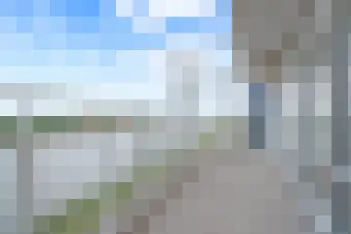 Hongerlandsedijk 754 Spijkenisse thumbnail 36