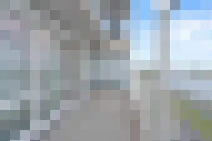Hongerlandsedijk 754 Spijkenisse thumbnail 38