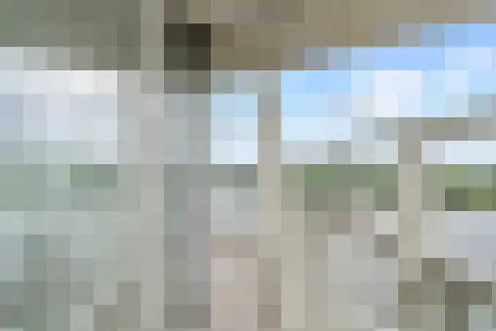 Hongerlandsedijk 754 Spijkenisse thumbnail 39
