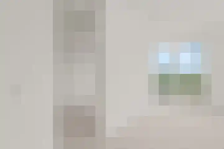 Hongerlandsedijk 754 Spijkenisse thumbnail 52