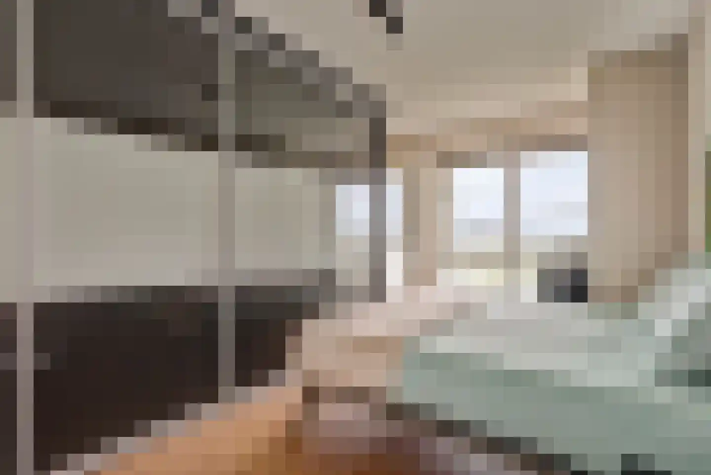 Hongerlandsedijk 790 Spijkenisse thumbnail 15