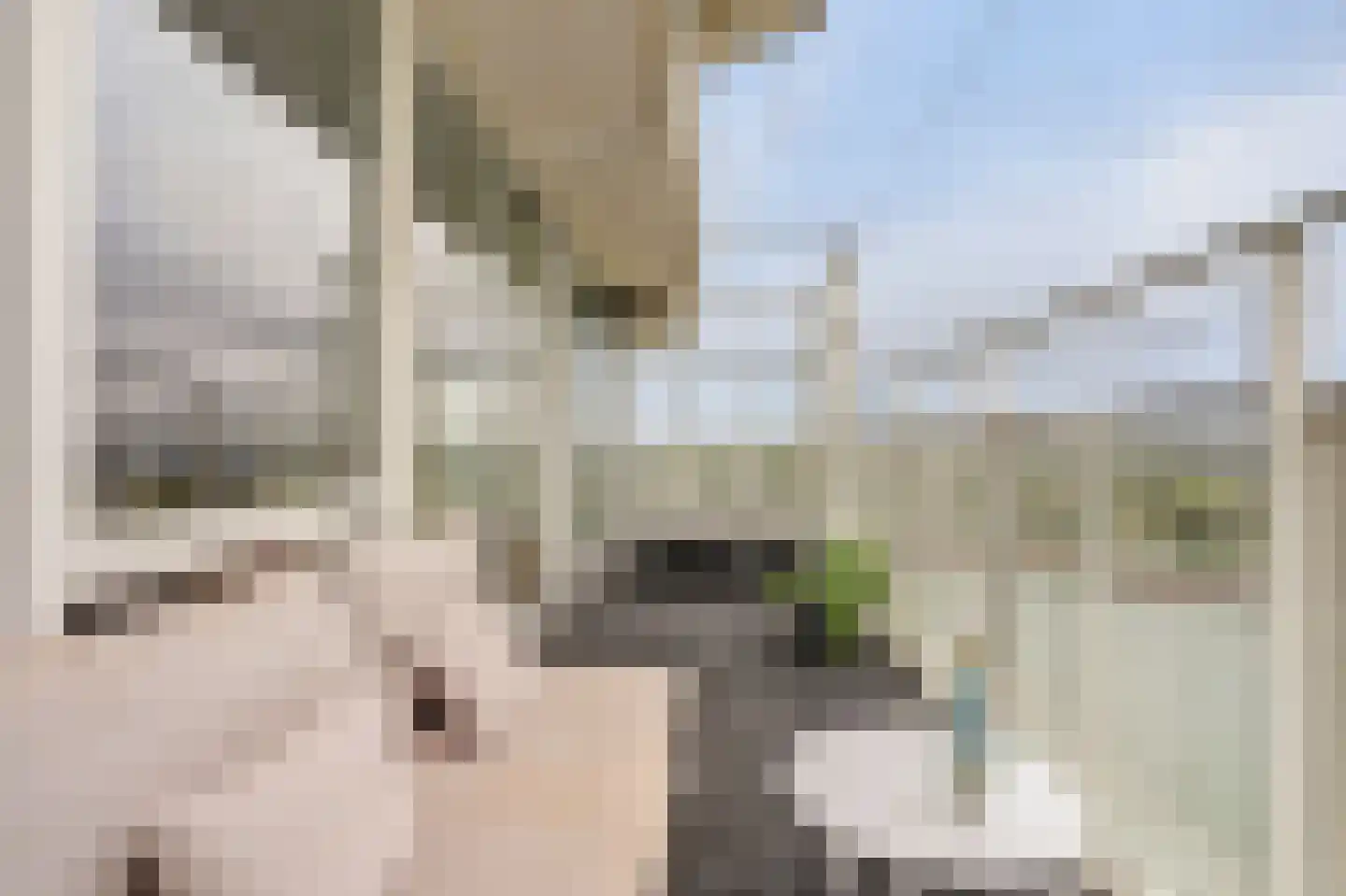 Hongerlandsedijk 790 Spijkenisse thumbnail 6