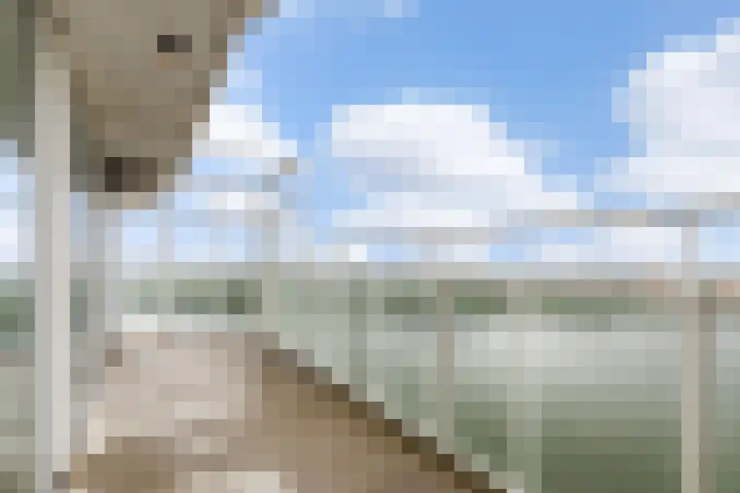 Hongerlandsedijk 862 Spijkenisse thumbnail 14
