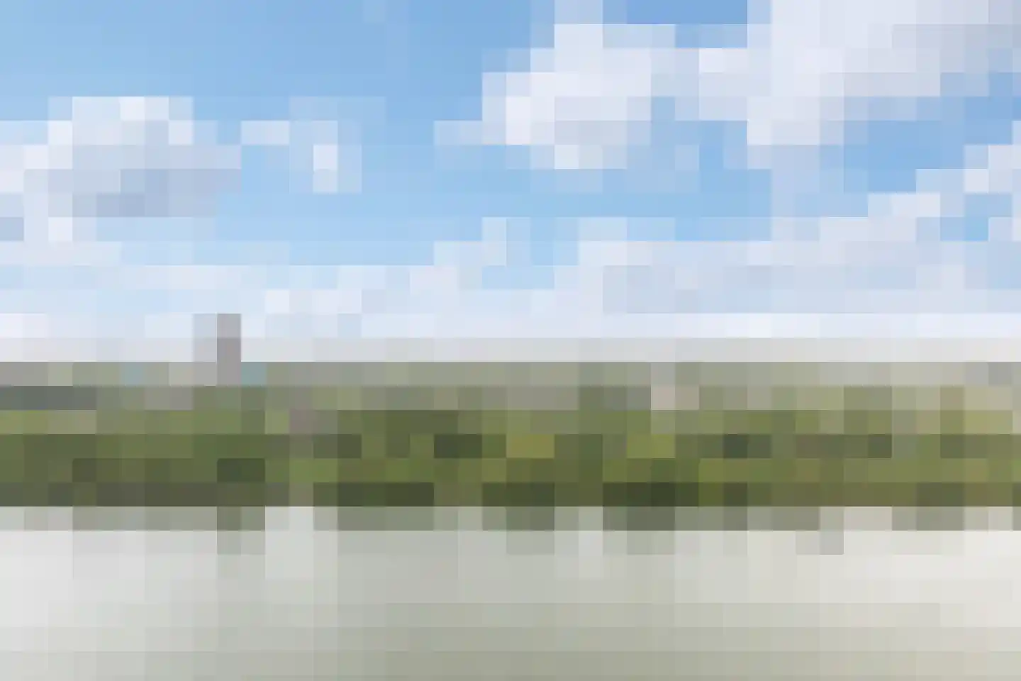 Hongerlandsedijk 862 Spijkenisse thumbnail 24