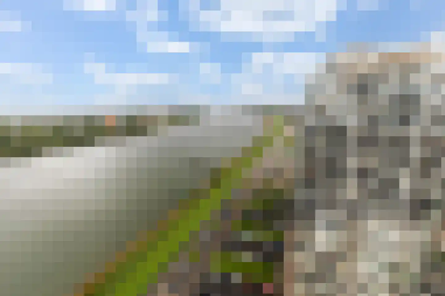 Hongerlandsedijk 862 Spijkenisse thumbnail 26