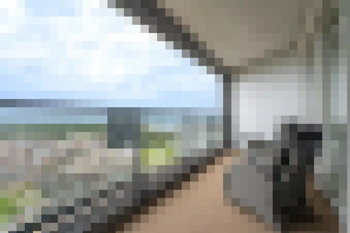 Hongerlandsedijk 870 Spijkenisse thumbnail 15
