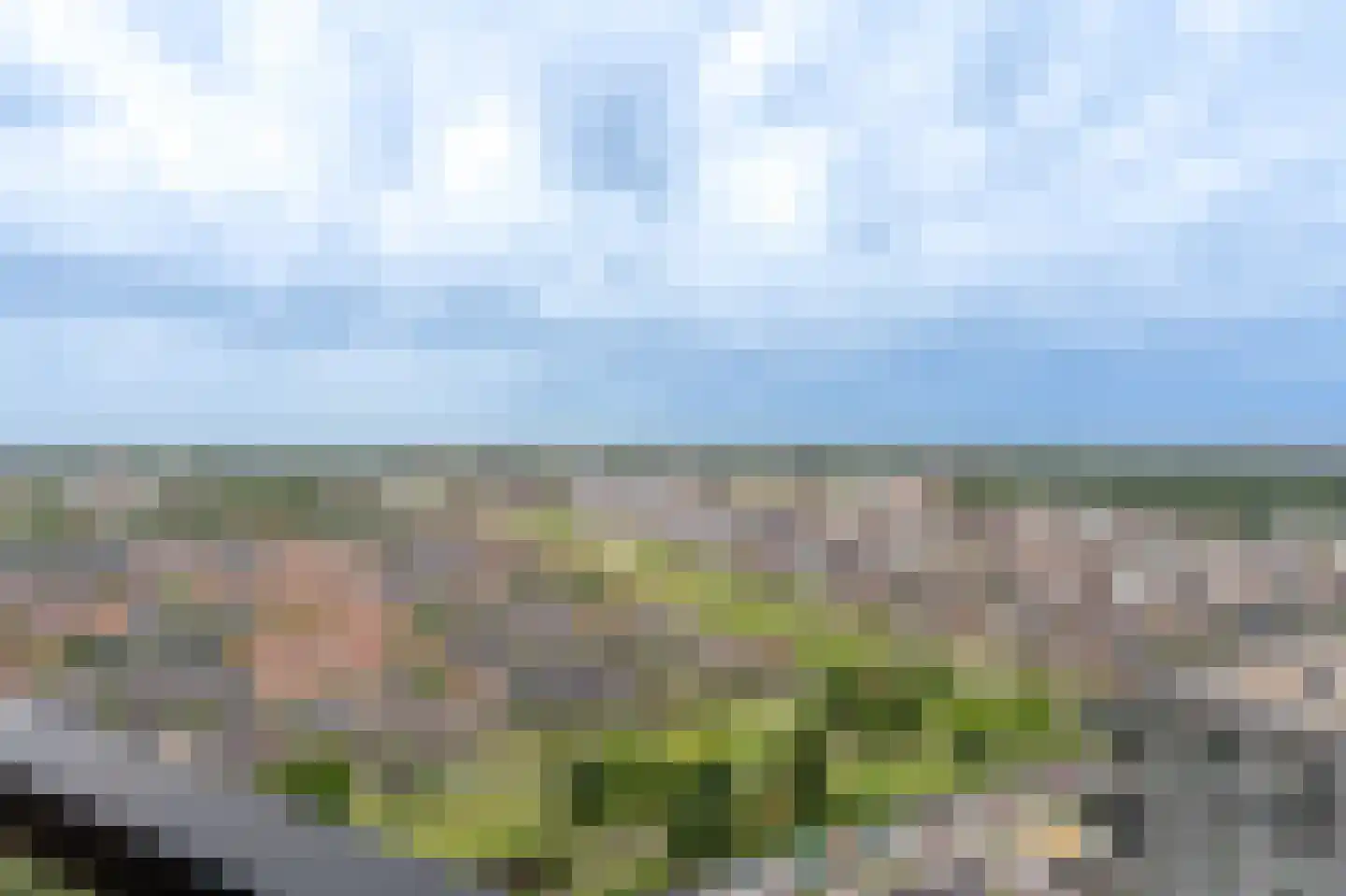 Hongerlandsedijk 870 Spijkenisse thumbnail 17