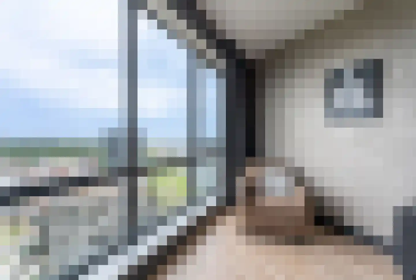 Hongerlandsedijk 870 Spijkenisse thumbnail 23