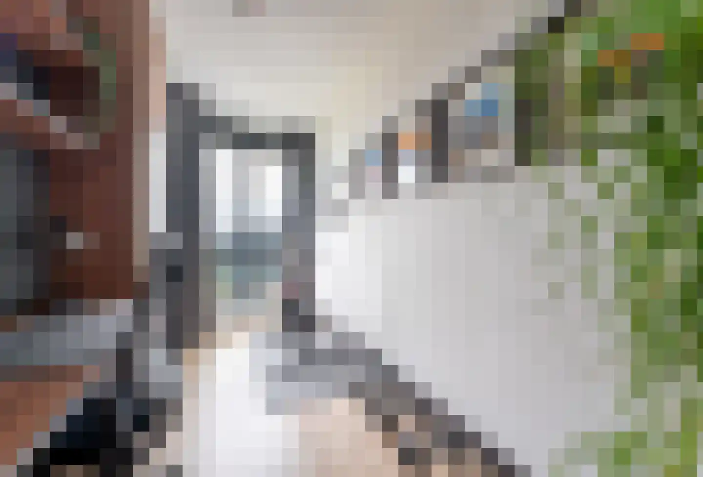 Hongerlandsedijk 870 Spijkenisse thumbnail 27