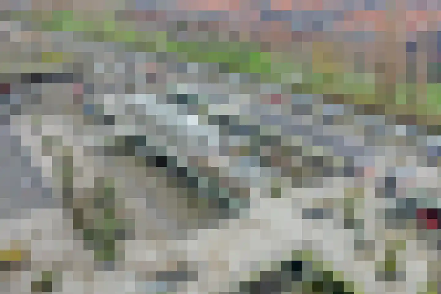 Hongerlandsedijk 90 Spijkenisse thumbnail 27