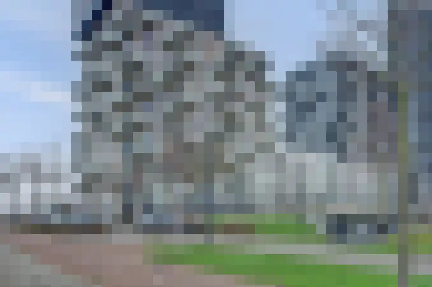 Hongerlandsedijk 90 Spijkenisse thumbnail 39