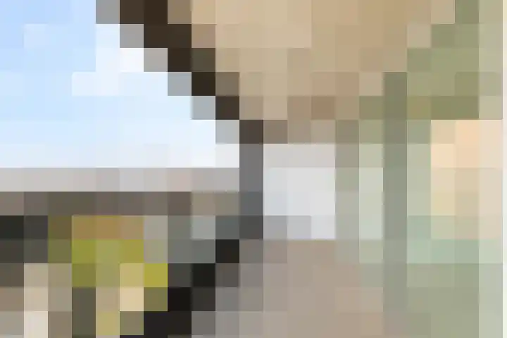 Hongerlandsedijk 918 Spijkenisse thumbnail 13