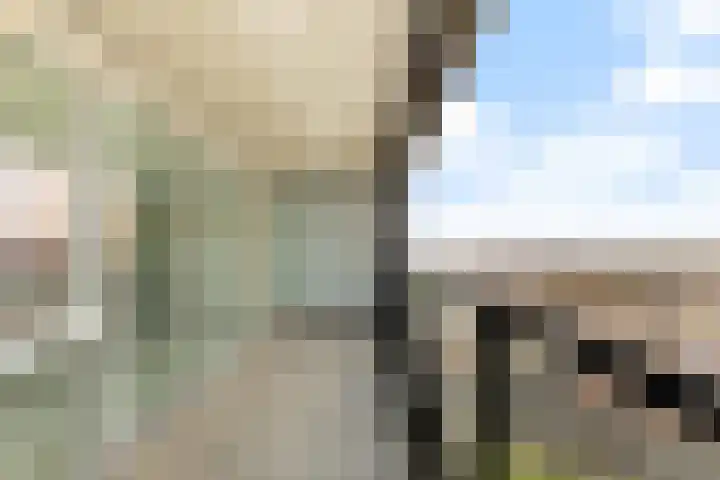 Hongerlandsedijk 918 Spijkenisse thumbnail 14