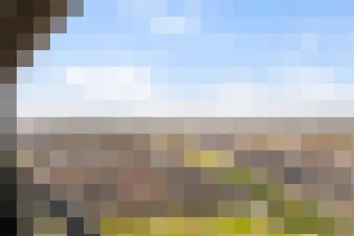 Hongerlandsedijk 918 Spijkenisse thumbnail 15