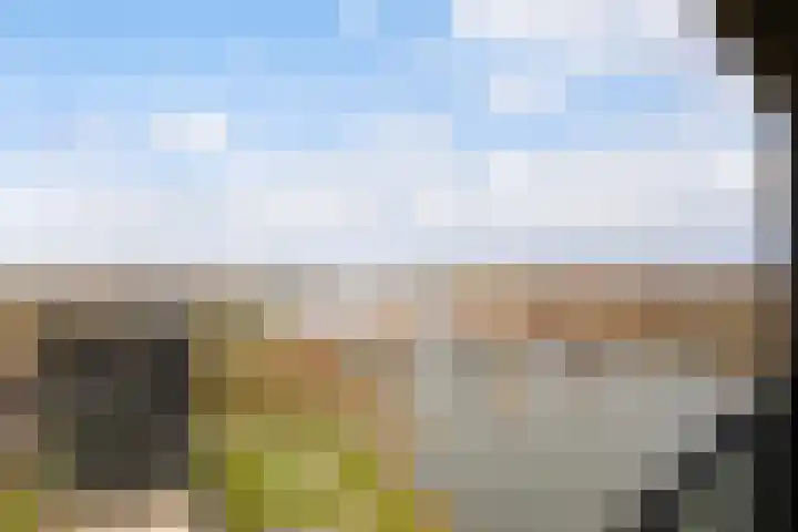 Hongerlandsedijk 918 Spijkenisse thumbnail 16