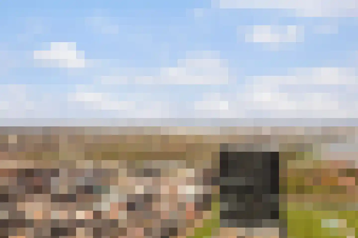 Hongerlandsedijk 918 Spijkenisse thumbnail 29