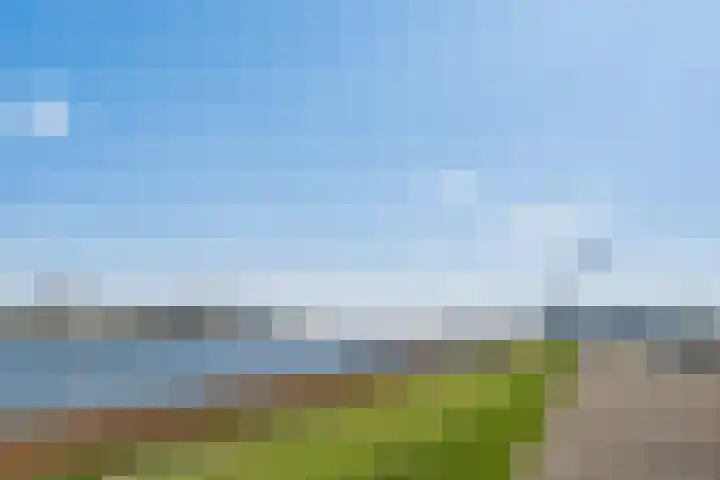 Hongerlandsedijk 918 Spijkenisse thumbnail 30