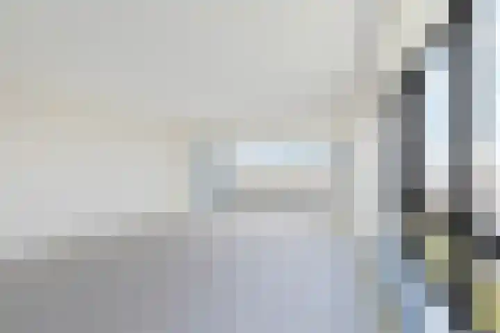 Hongerlandsedijk 918 Spijkenisse thumbnail 4
