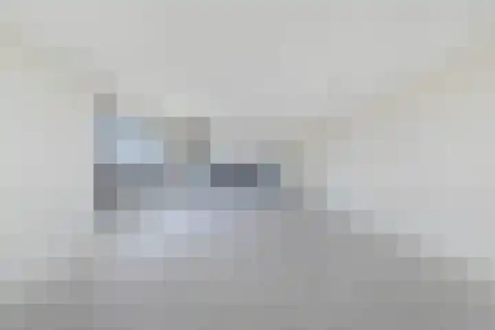 Hongerlandsedijk 918 Spijkenisse thumbnail 6