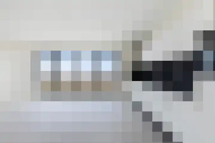 Hongerlandsedijk 918 Spijkenisse thumbnail 7