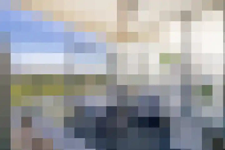 Hongerlandsedijk 920 Spijkenisse thumbnail 18