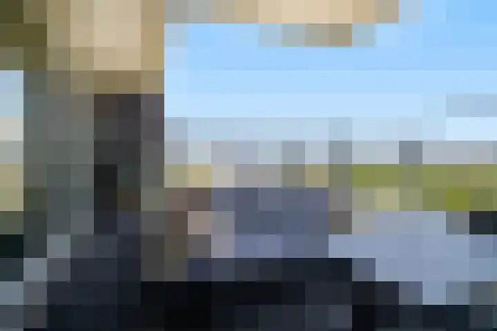 Hongerlandsedijk 920 Spijkenisse thumbnail 19