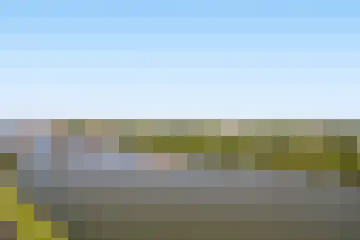 Hongerlandsedijk 920 Spijkenisse thumbnail 20