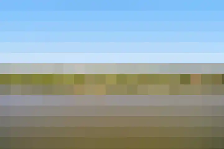 Hongerlandsedijk 920 Spijkenisse thumbnail 21