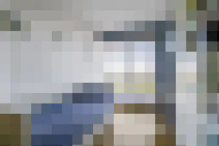 Hongerlandsedijk 920 Spijkenisse thumbnail 31