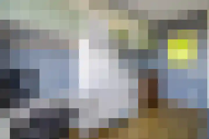Hongerlandsedijk 920 Spijkenisse thumbnail 33