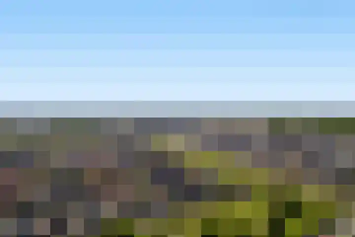 Hongerlandsedijk 920 Spijkenisse thumbnail 37