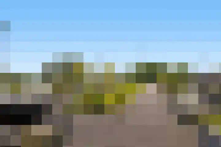 Hongerlandsedijk 920 Spijkenisse thumbnail 38
