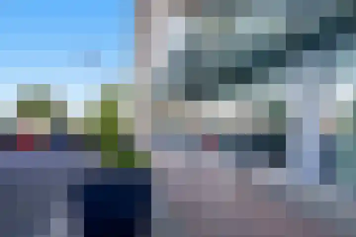 Hongerlandsedijk 920 Spijkenisse thumbnail 6