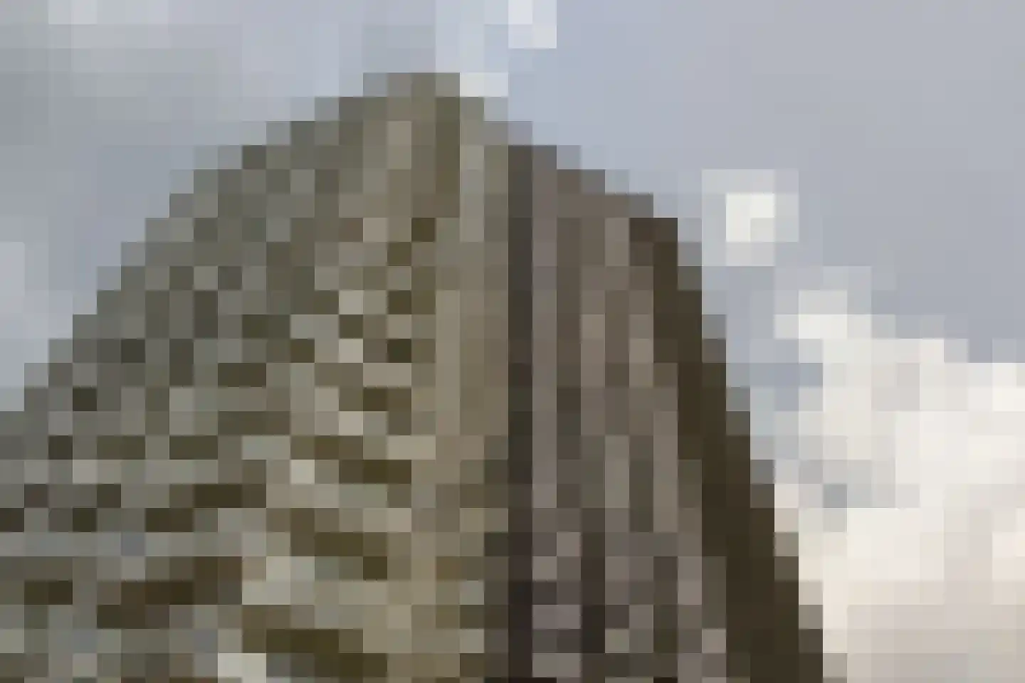 Hongerlandsedijk 998 Spijkenisse thumbnail 26