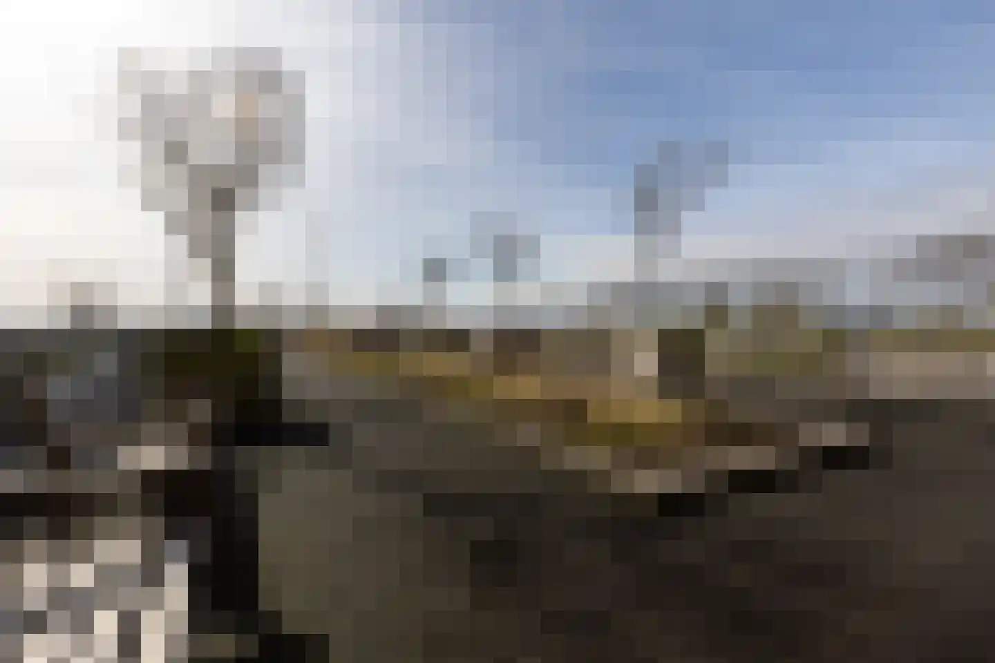Hongerlandsedijk 998 Spijkenisse thumbnail 28