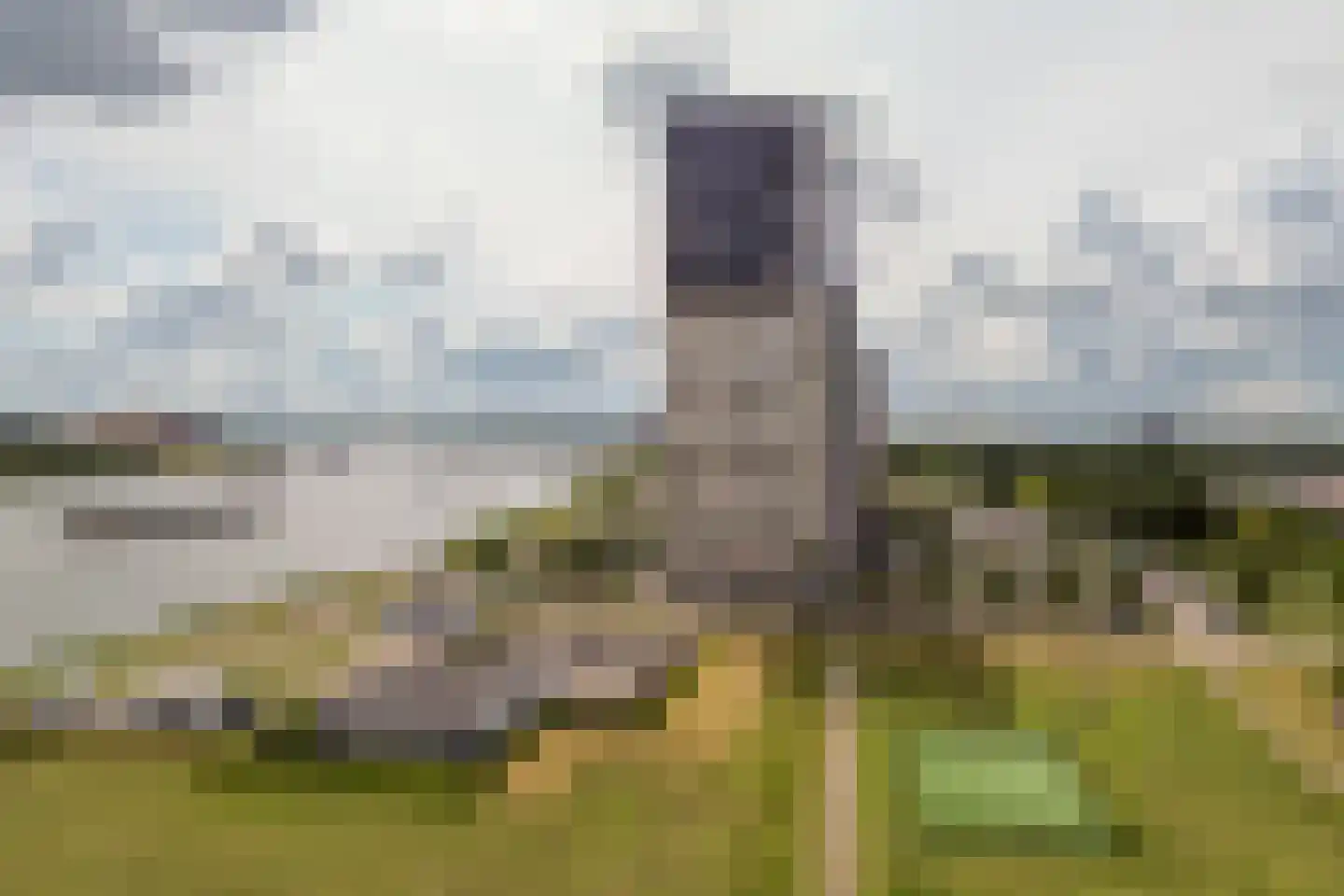 Hongerlandsedijk 998 Spijkenisse thumbnail 34