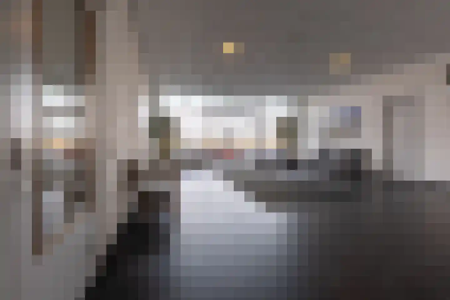 Hongerlandsedijk 998 Spijkenisse thumbnail 8