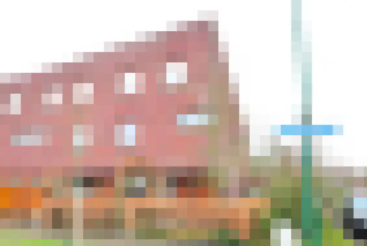 Hongerman 13 in Eersel