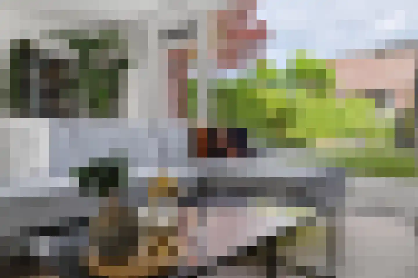 Hongerman 33 Eersel thumbnail 10