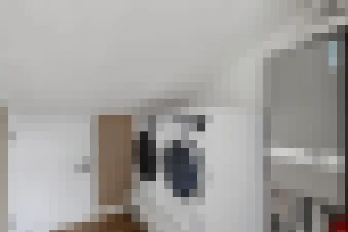 Hongerman 33 Eersel thumbnail 31
