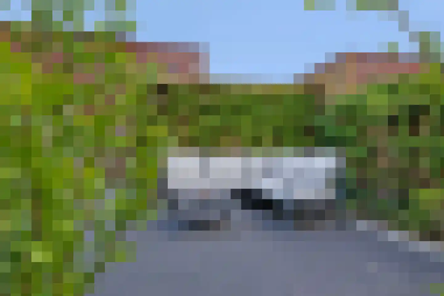 Hongerman 33 Eersel thumbnail 41