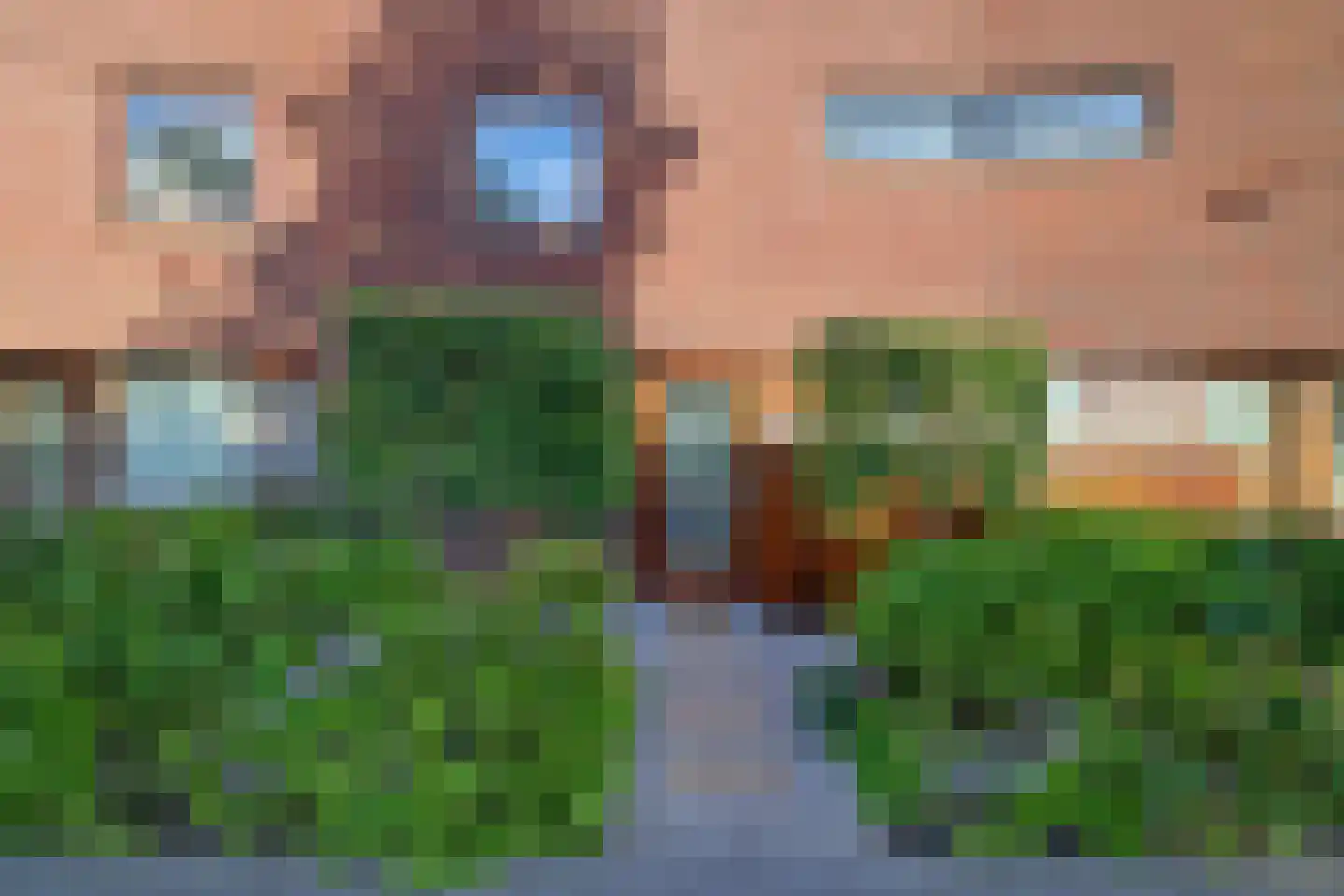 Hongerman 33 Eersel thumbnail 42