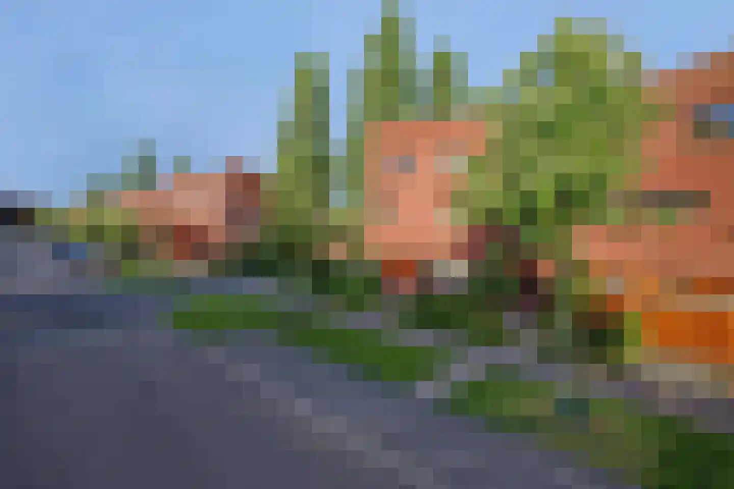 Hongerman 33 Eersel thumbnail 48