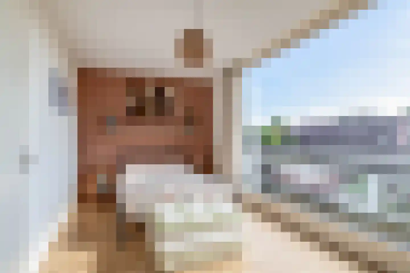 Hongerman 37 Eersel thumbnail 22