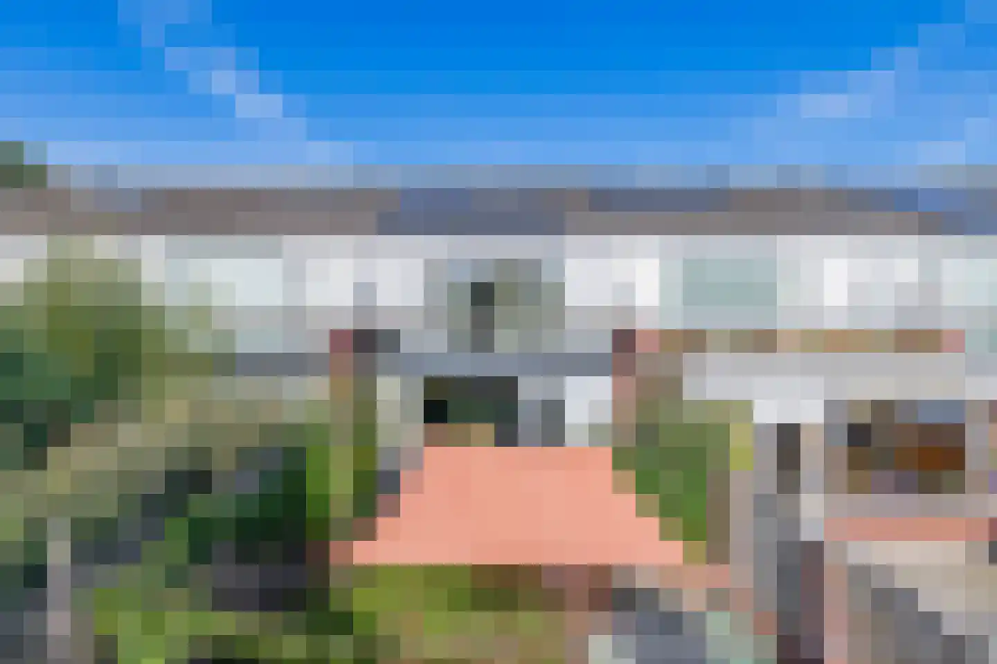 Hongerman 37 Eersel thumbnail 36
