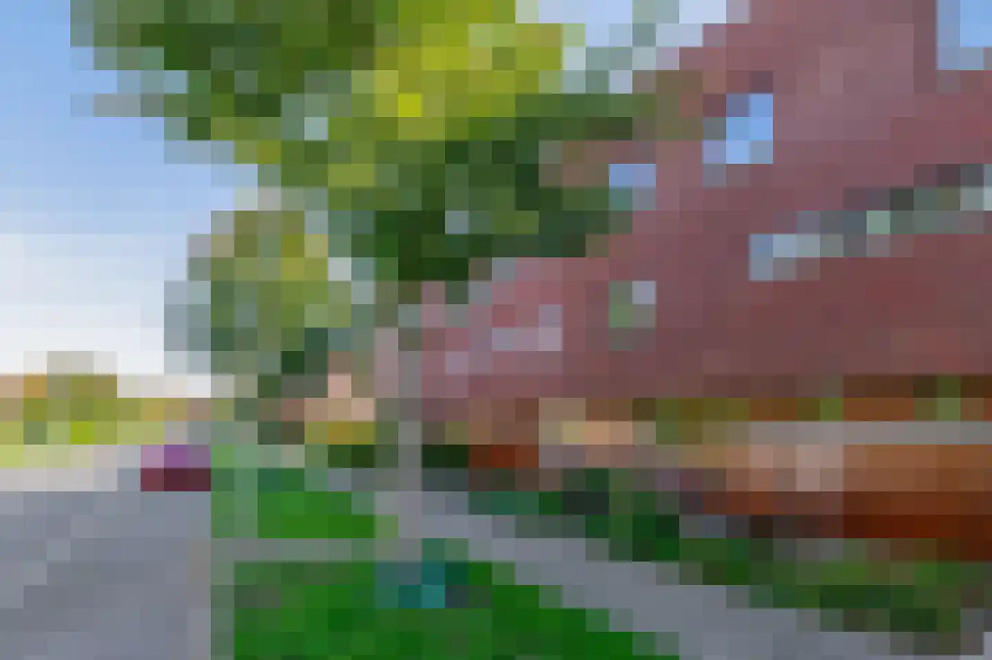 Hongerman 37 Eersel thumbnail 40