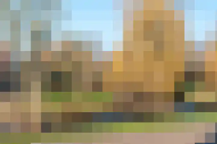 Honigkamp 126 Arnhem thumbnail 22