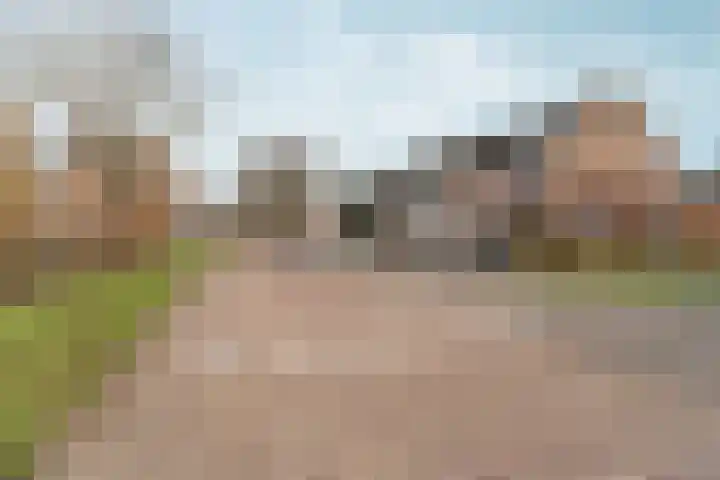 Honigkamp 126 Arnhem thumbnail 34